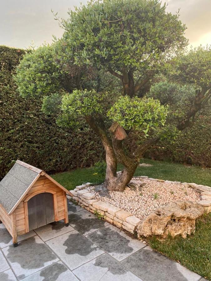 Bed and Breakfast Wooden House à Montegrotto Terme Extérieur photo